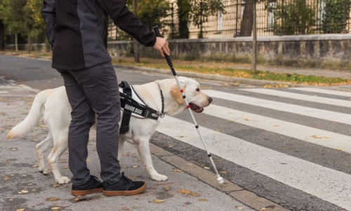 Bien choisir sa canne pour malvoyant